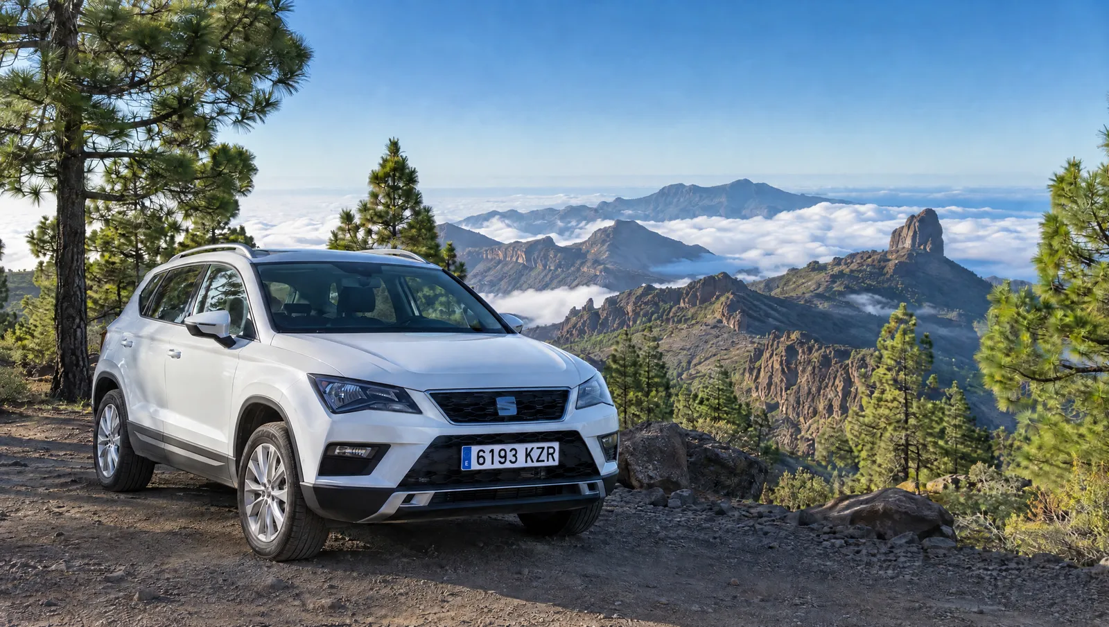 Ein weißer SUV zwischen Kiefern, dahinter Gipfel über den Wolken