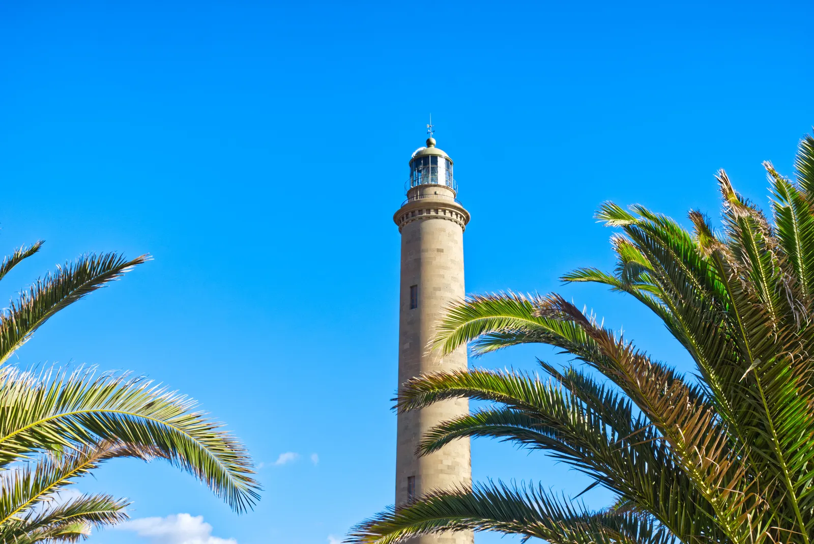 Le phare de Maspalomas entre les palmiers